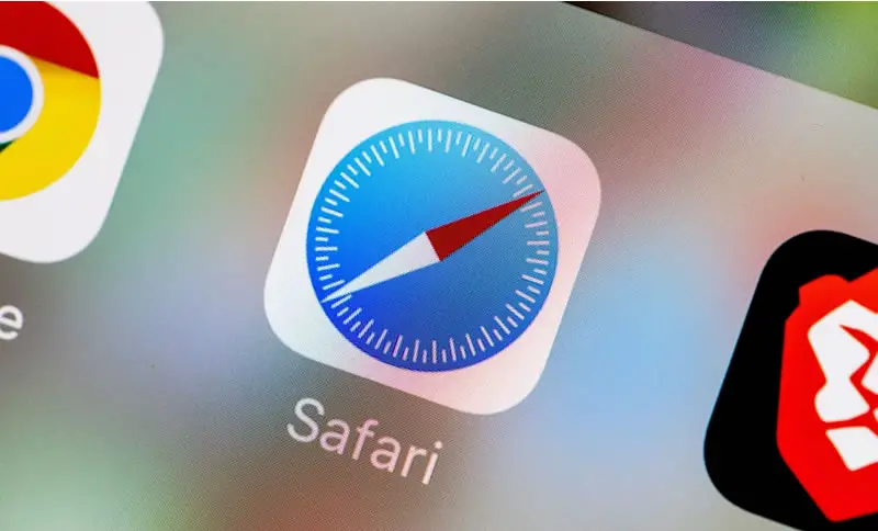 safari