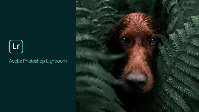 Lightroom ทดลอง-1