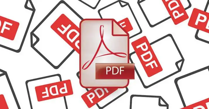 รูปแบบไฟล์ PDF