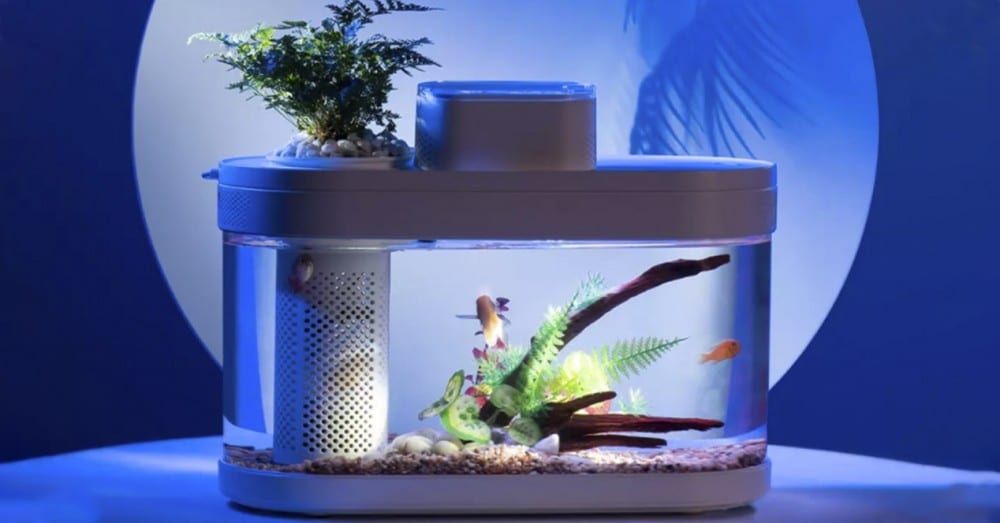 Xiaomi Smart Aquarium: caractéristiques, prix