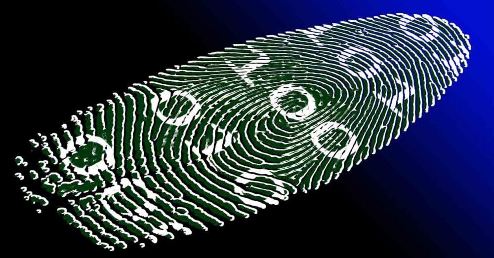 Werden biometrische Schlüssel herkömmlichen Passwörtern ein Ende setzen?