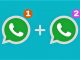 Dual WhatsApp