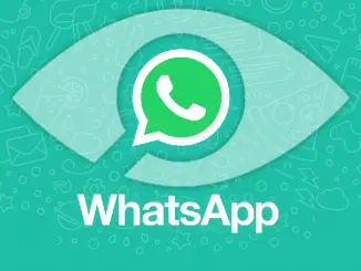 Spia Whatsapp