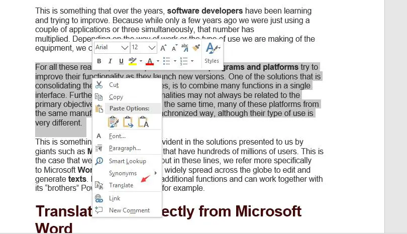 Translate in Word