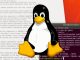 Kho lưu trữ-Linux