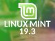 linuxmint193