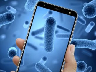 bacteria-mobile-phone