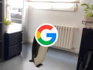 animal 3d de l'application google