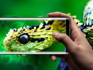 mobile phone screen