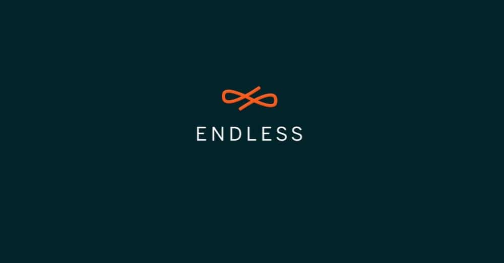 Что значит операционная система endless