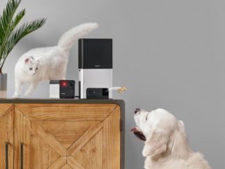 Best Smart Products for your Pet: Home Automation