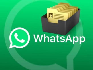 WhatsApp: How to Find Shared files with Contact or Group