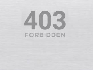 What is 403 Forbidden Error and What to Do to Avoid it