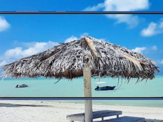 Samsung Galaxy M31 and Galaxy M21: Features and Options