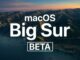 How to Install macOS 11 Big Sur in beta