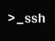 Check the Security of the SSH Server