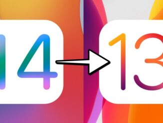 Kehren Sie von der Beta von iOS 13 zu iOS 14 zurück