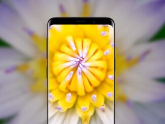 Use the Macro Camera on Android Phones