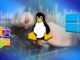 Cursos gratuitos para aprender Windows, Linux