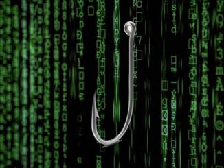 How Long from a Phishing Attack to the Use