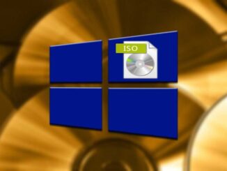 Windows 10 20H2: загрузите и протестируйте последние ISO-образы