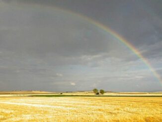 Best Programs to Know the Time in Windows 10