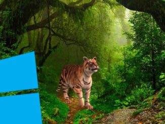 Add 3D Objects and Animated Text to an Image in Windows 10