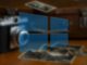 Reasons to Use Windows 10 Photos and Ditch Other Viewers
