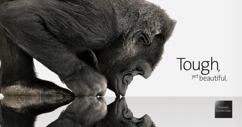 Gorilla Glass