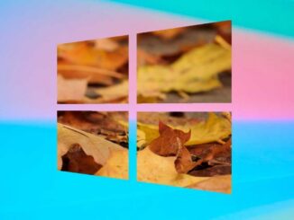 Activate New Features of October 2020 Update Windows 10