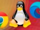Microsoft Edge on Linux
