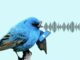 O Twitter trará tweets de áudio para mensagens privadas ou DM