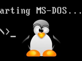 DSL: n avulla voimme suorittaa Linuxin MS-DOS: lla