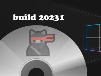 ดาวน์โหลด Windows 10 ISO Insider 21H1 Build 20231