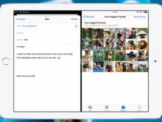 Use Split Screen on an iPad for Multitasking