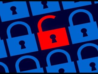 Online vs Local Password Manager