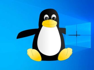 Open Files from the Windows Subsystem for Linux