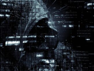 Disclosure of Vulnerabilities