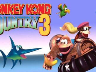 Donkey Kong Country