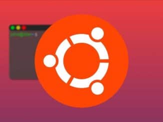 Ubuntu: 2020 Roundup