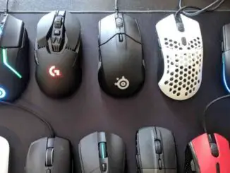 History of the Mouse