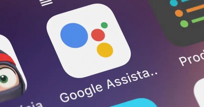 Bug Prevents Using Google Assistant Normally