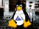 MX Linux: New Distro