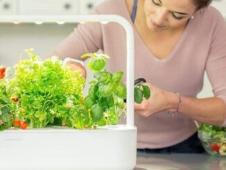 Create a Smart Kitchen