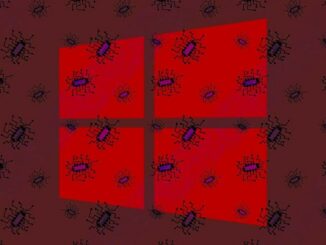 Antivirus Most Used by Users to Protect Windows