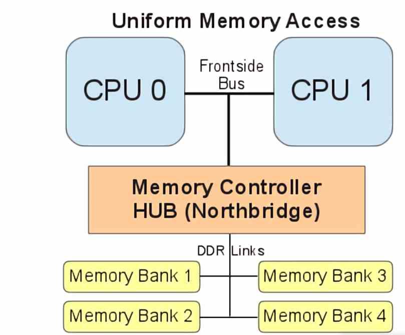 Organización Memoria UMA