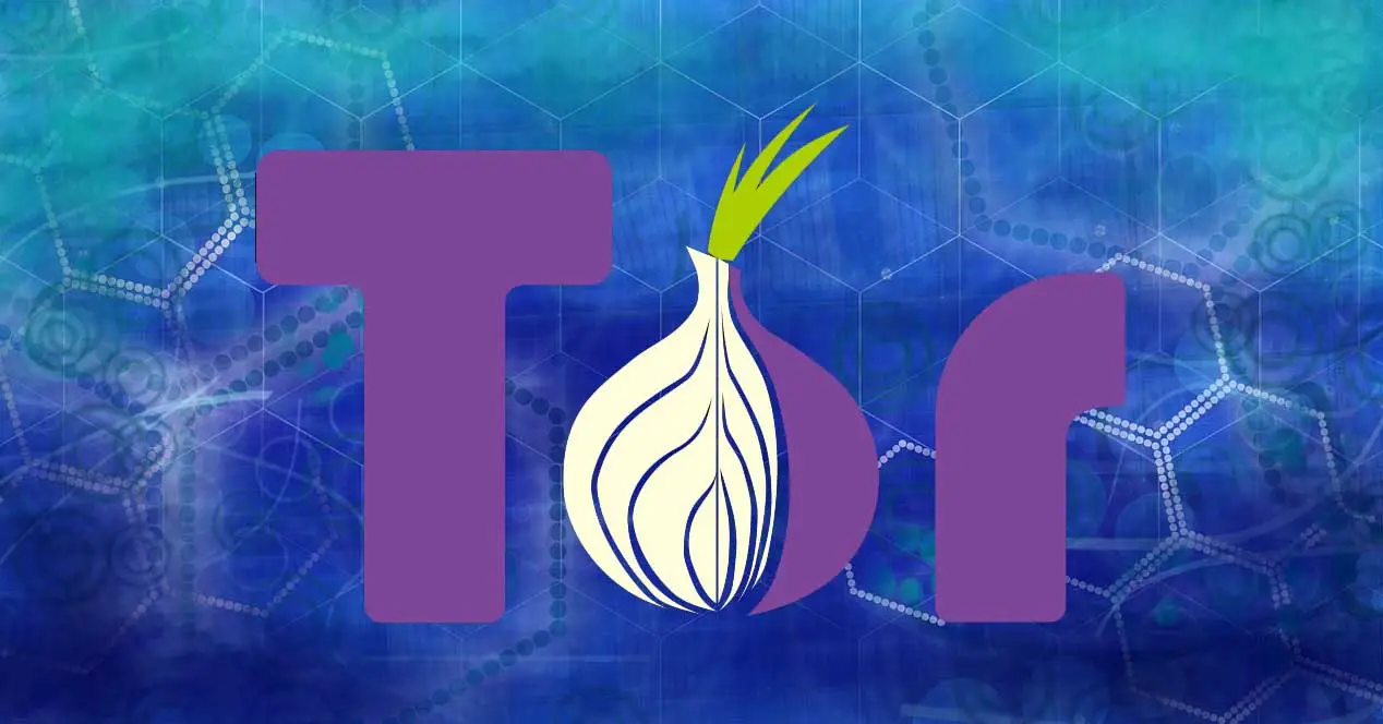 Vulnerabilidades Tor