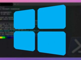 Round Corners: Windows Terminal