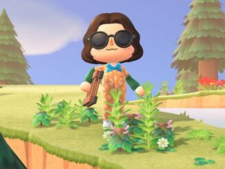 Animal Crossing: New Horizons