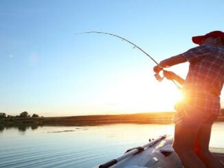 Best iPhone Apps to Go Fishing